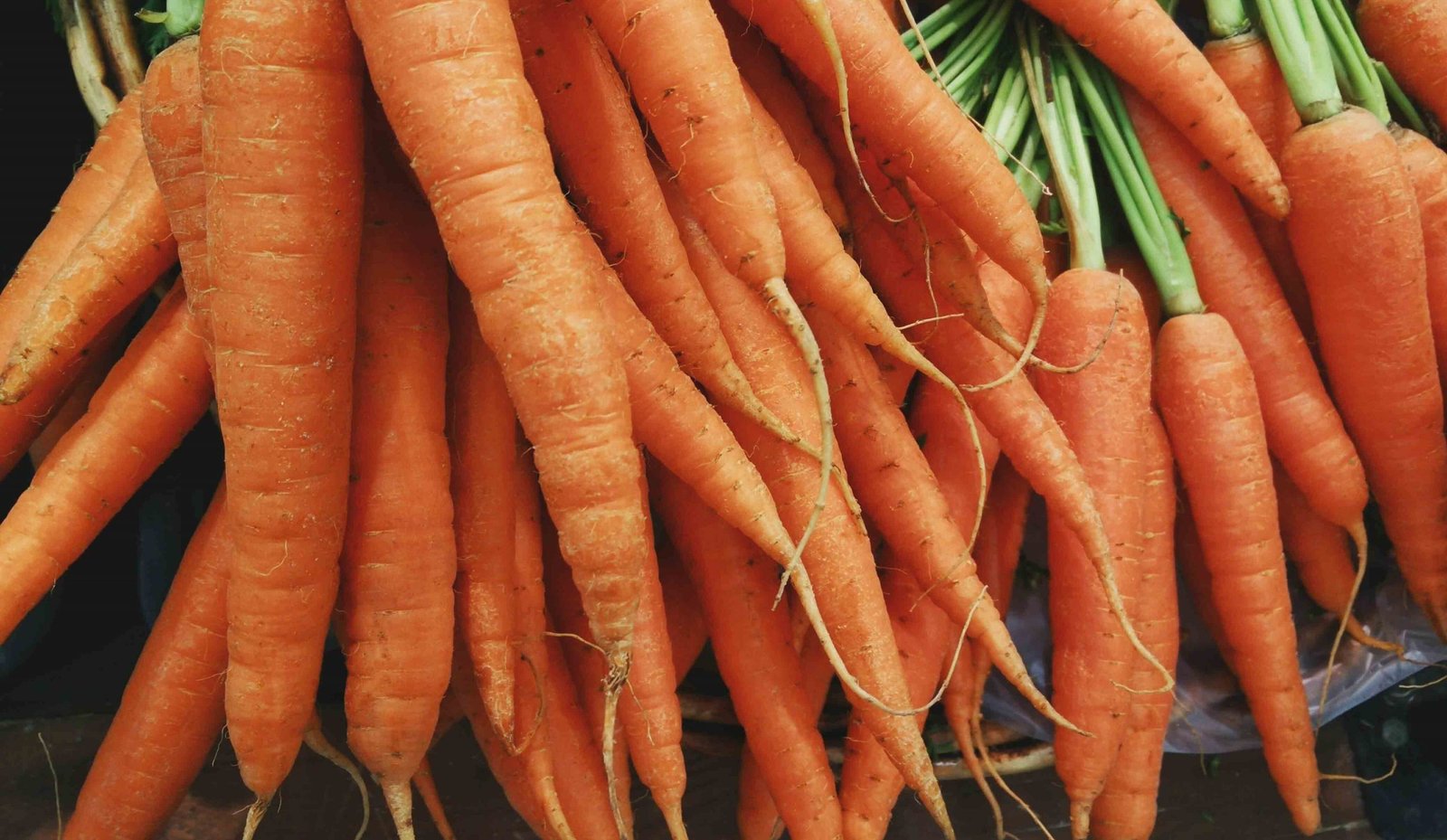 Fresh carrots
