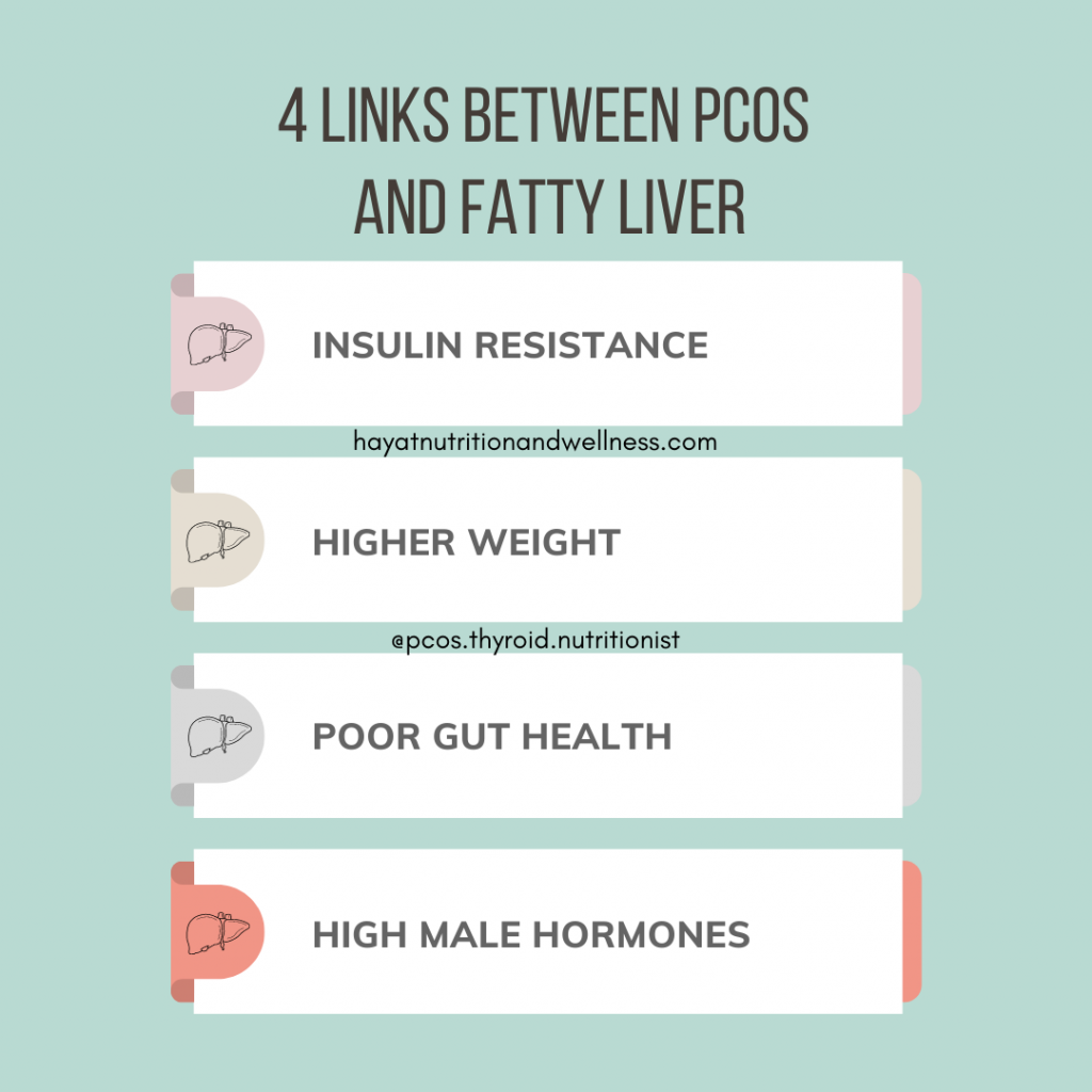 A graphic listing of the 4 links between pcos and fatty liver - insulin resistance, higher weight, poor gut health, and high male hormones.